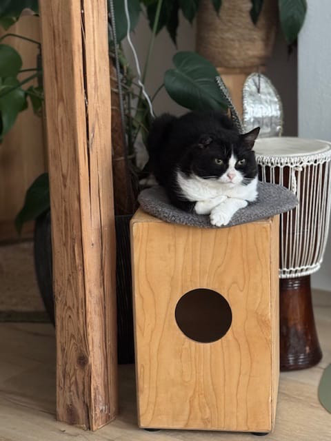 Labubu