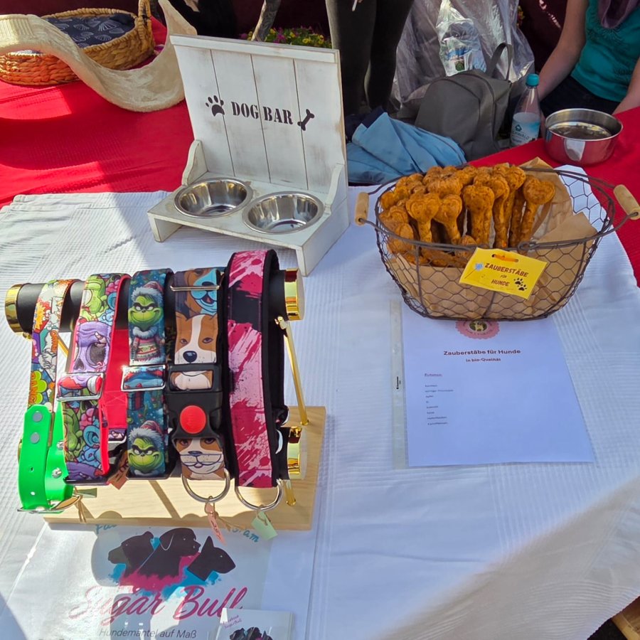 Sommerfest-2026-HP-5