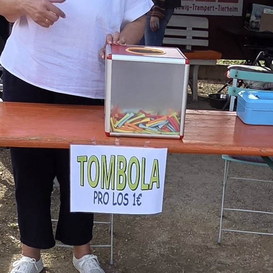 Sommerfest-2026-HP-6