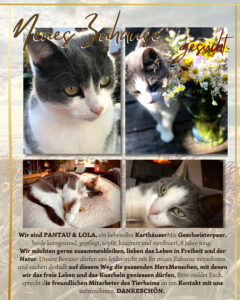 Pantau und Lola
