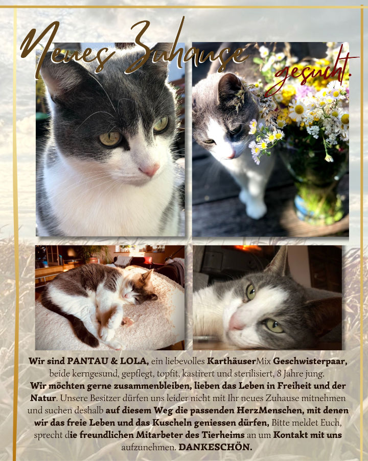 Pantau und Lola